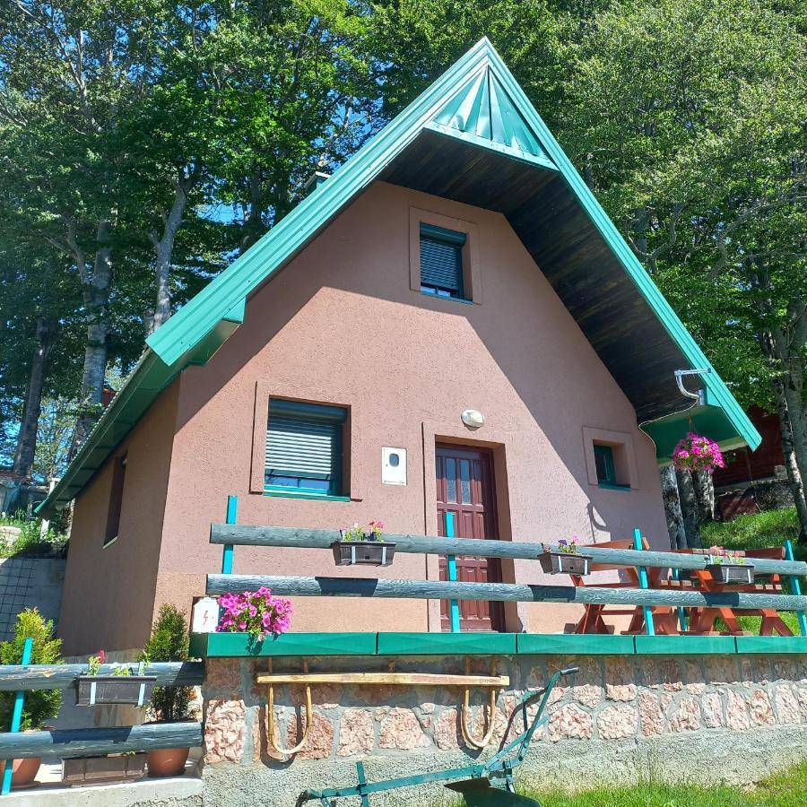 Vila Darija Žabljak 外观 照片