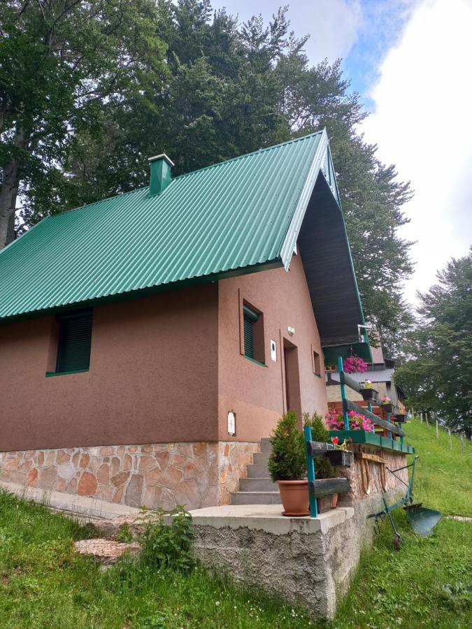 Vila Darija Žabljak 外观 照片