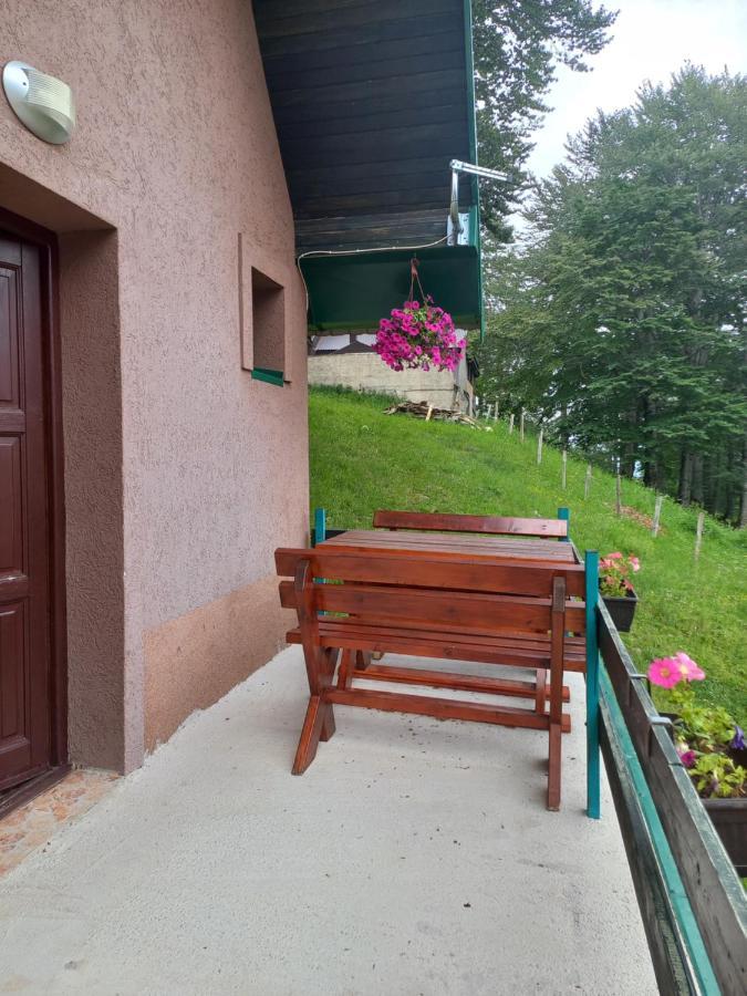 Vila Darija Žabljak 外观 照片