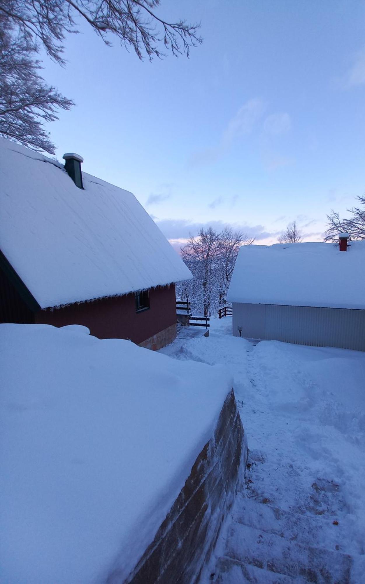 Vila Darija Žabljak 外观 照片